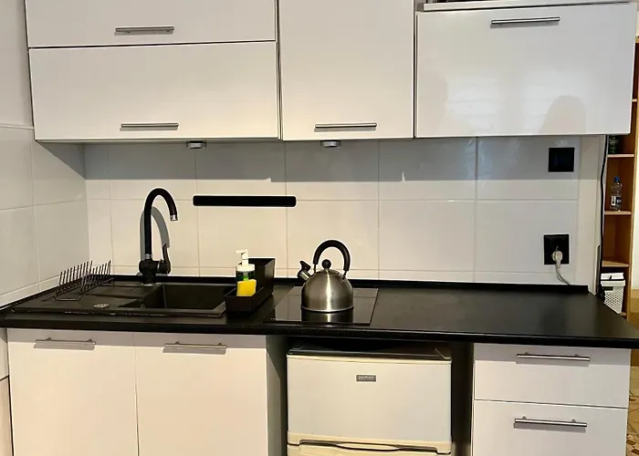 Mieszkanie W Domu Wielorodzinnym Апартаменты *